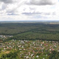 Пять участков выставят на торги для строительства частных домов в ТиНАО